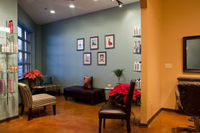 The SA Studio