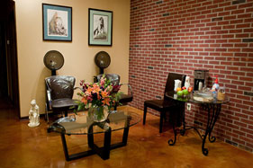 The SA Studio